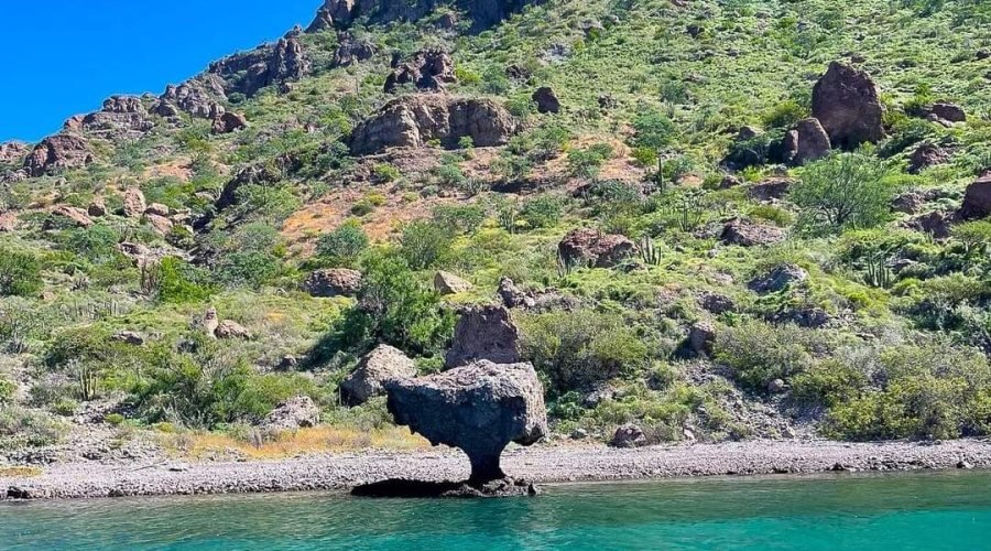 Acantilados y matorral desértico de Isla Danzante sobre agua turquesa, Parque Nacional Bahía de Loreto