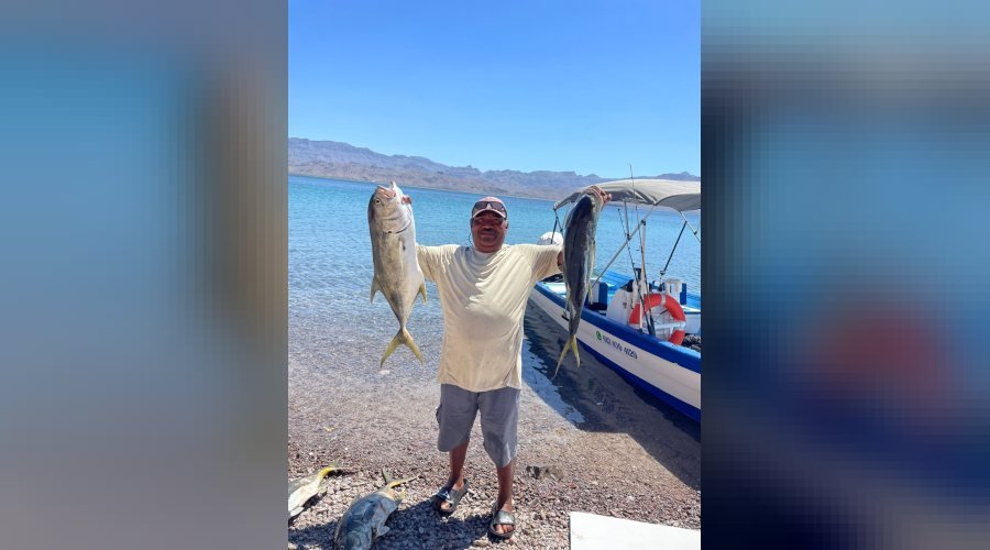 Dos jureles recién pescados sobre la arena de la playa de Isla Coronado, Loreto